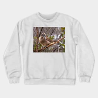 Helmeted Friar Bird Crewneck Sweatshirt